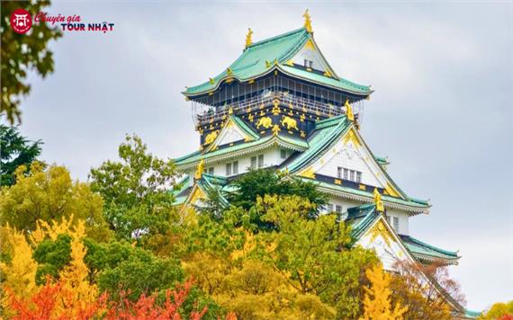 [HCM] Tour Nhật Bản Thiết Kế 6N5Đ: Hành Trình Vàng Mùa Thu 2025